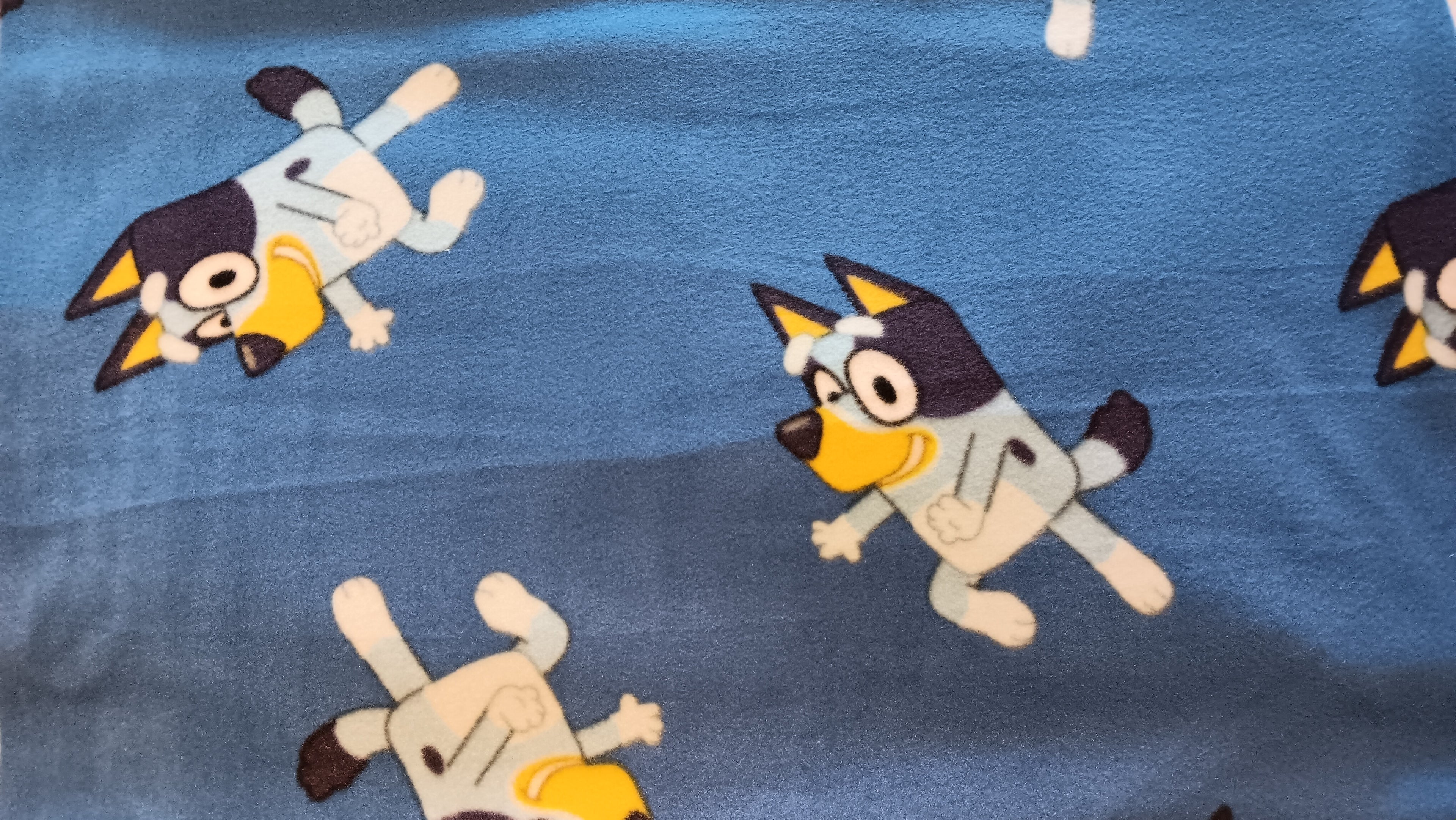 Autre tissus disponible Bluey en molleton  $25.00 et plus